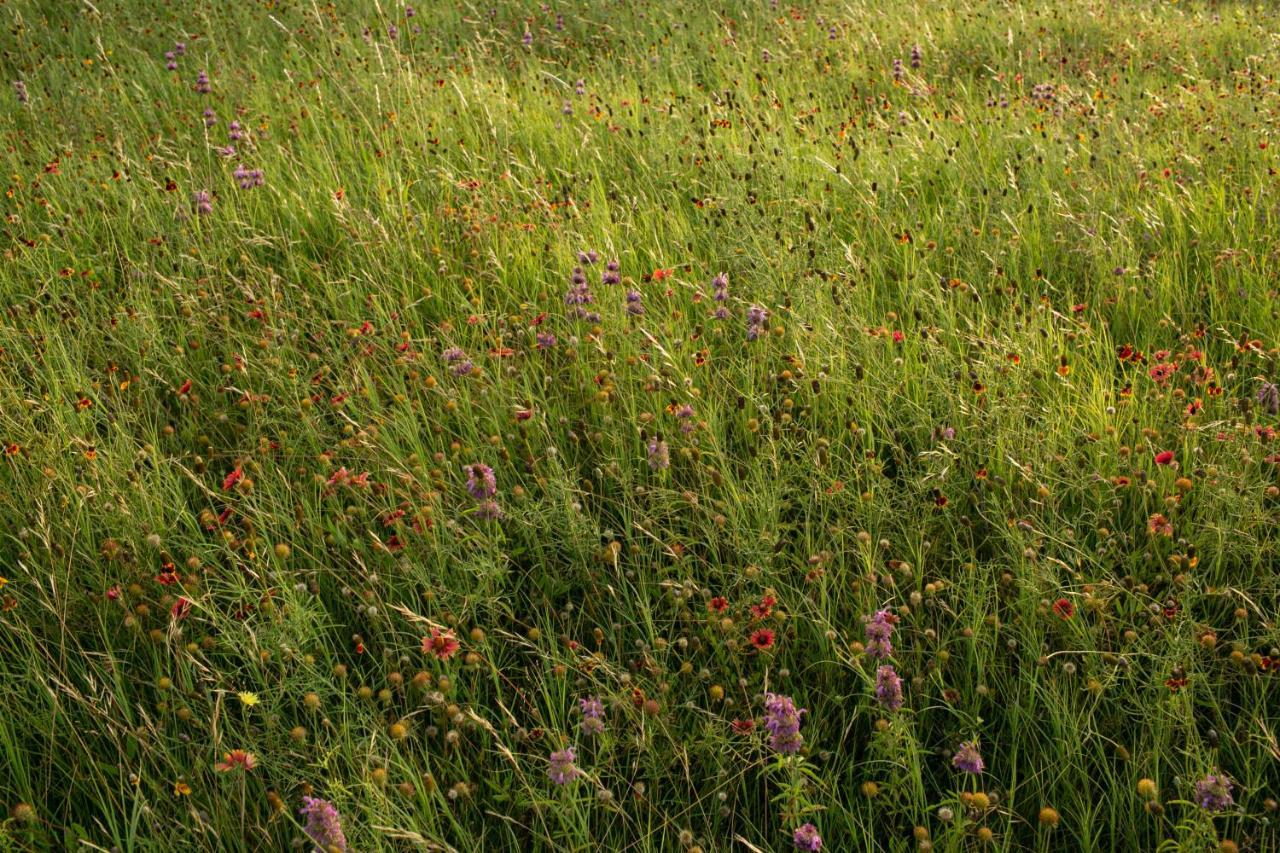 Vila Contigo Ranch Fredericksburg Exteriér fotografie